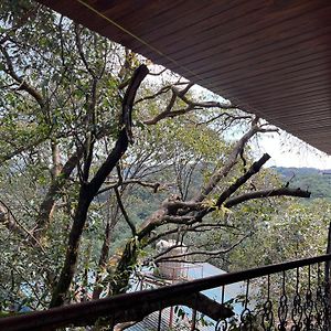 Triple Room Mountain View